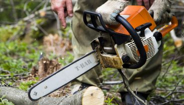 Chainsaw Operation And Safety