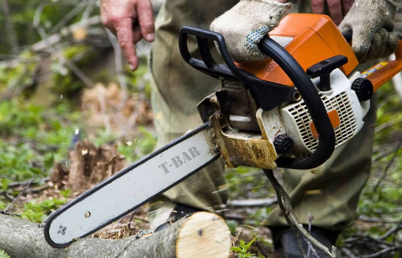 Chainsaw Safety and Maintenance Training Online Safetyhub