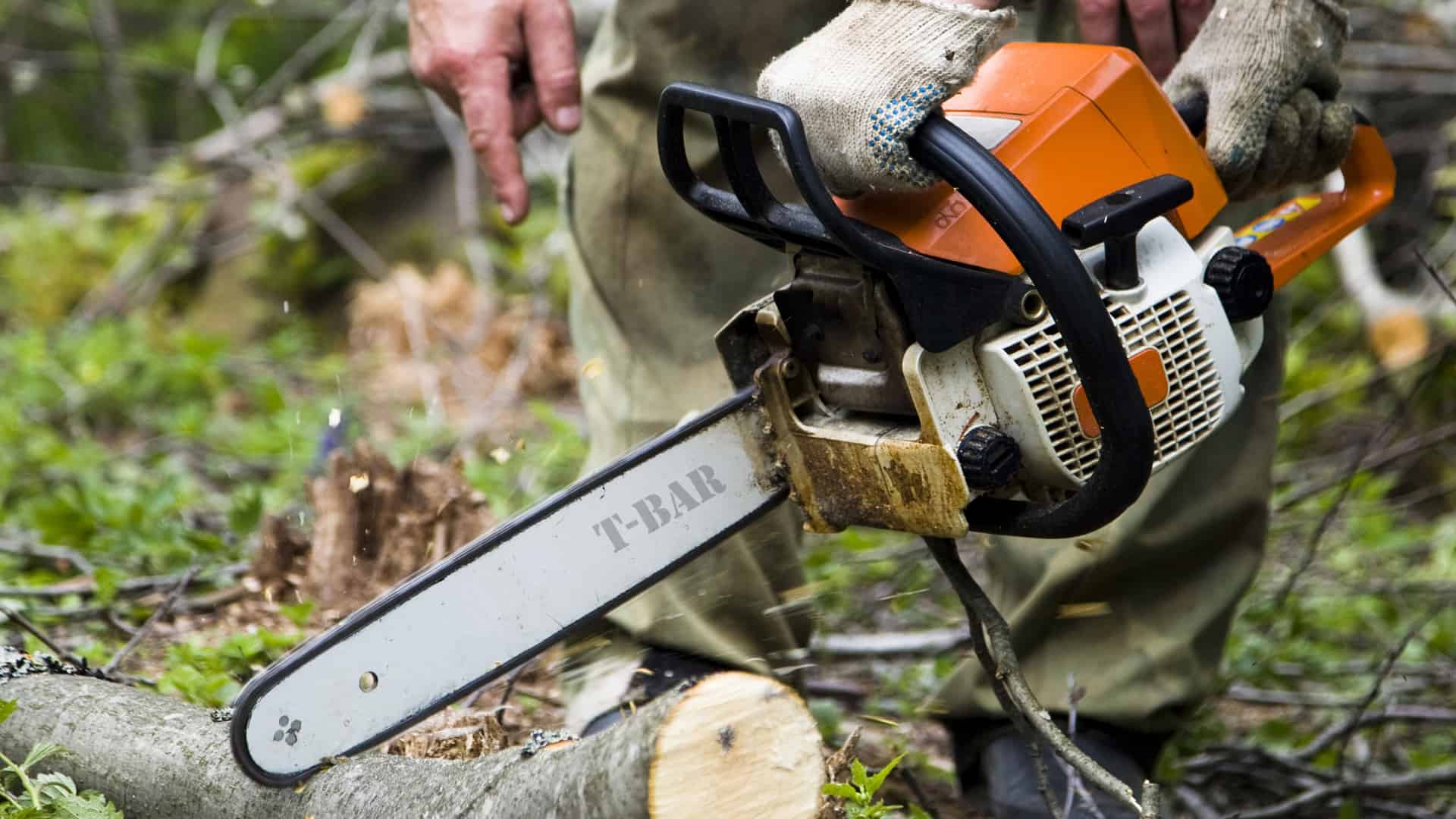 Chainsaw Operation and Safety Training Online - Safetyhub