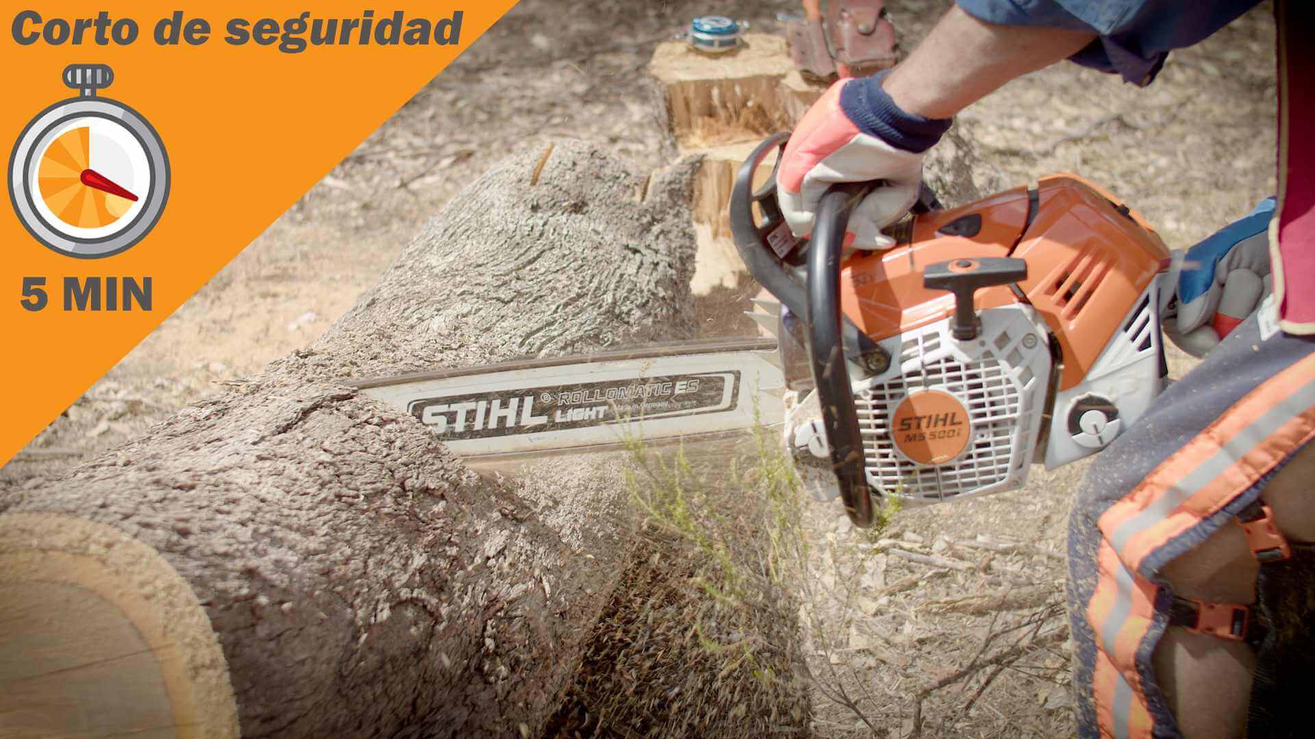 Motosierras – Corte Motosierras – Corte