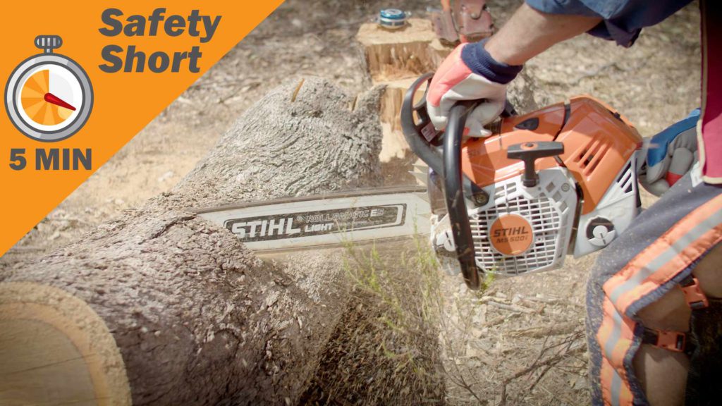 Chainsaws - Cutting